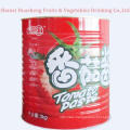 3000g 28%-30% Canned Tomato Paste